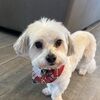 tinyclairey